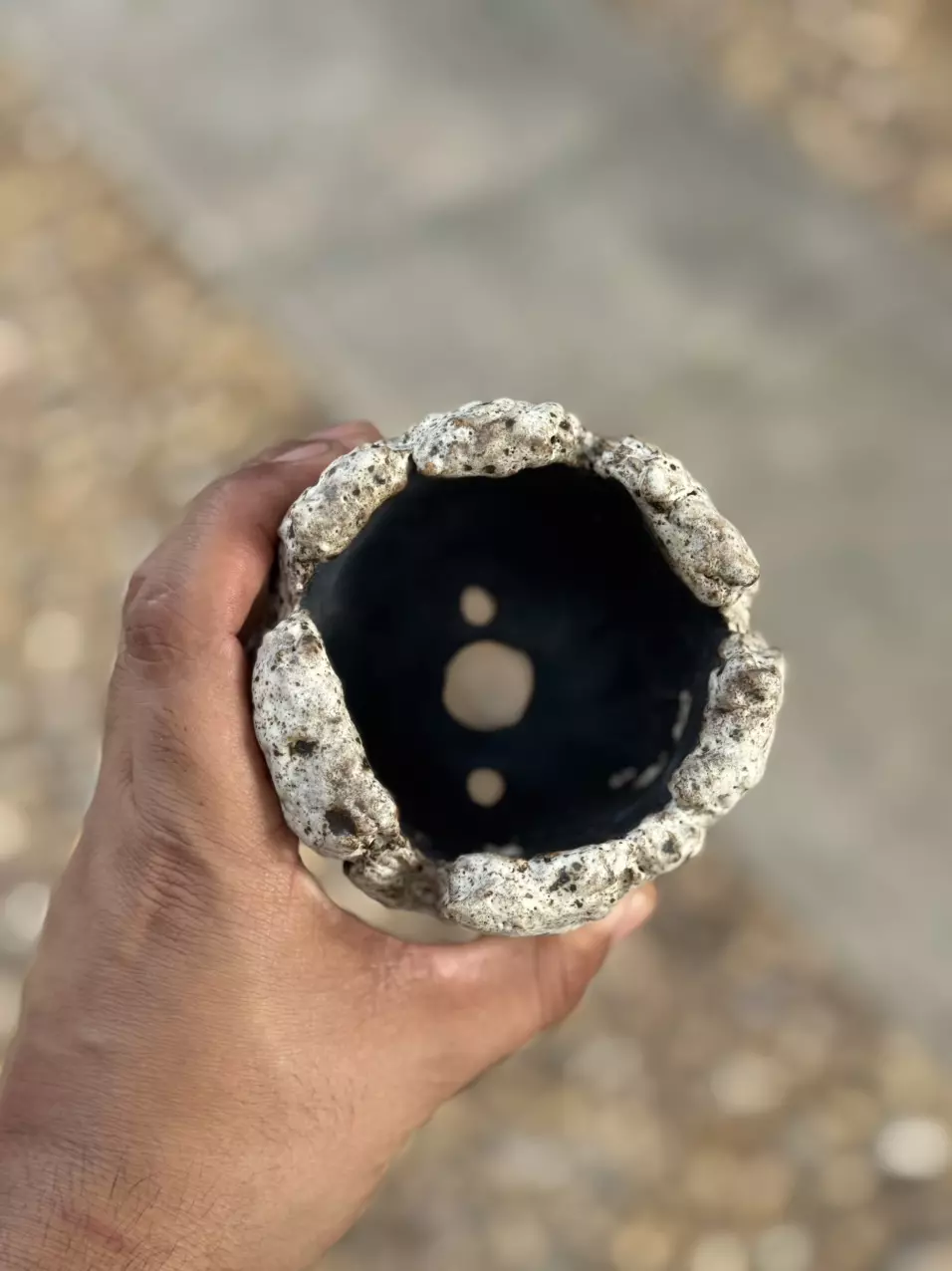 plant/Oreo 3.75x4H-1