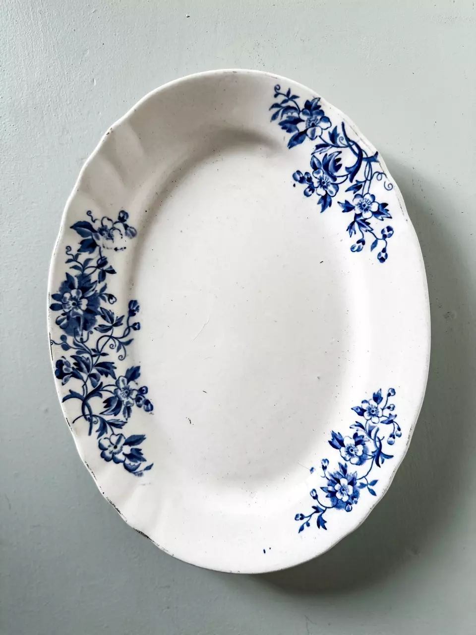 plant/Antique ironstone transferware platter-0