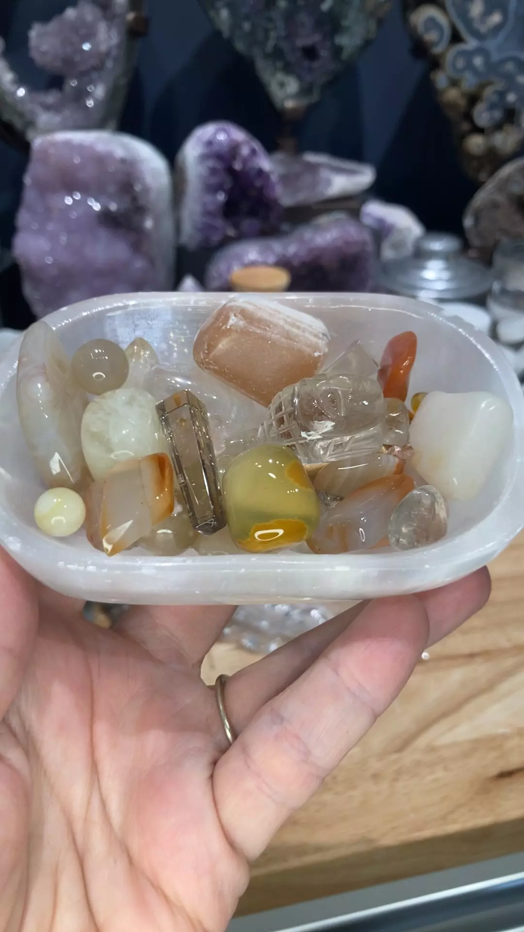 plant/creamy orange mixed 3oz tumble-0