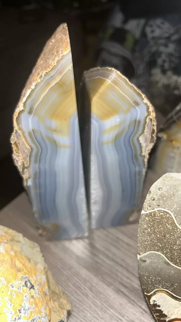 plant/Agate Book Ends-0