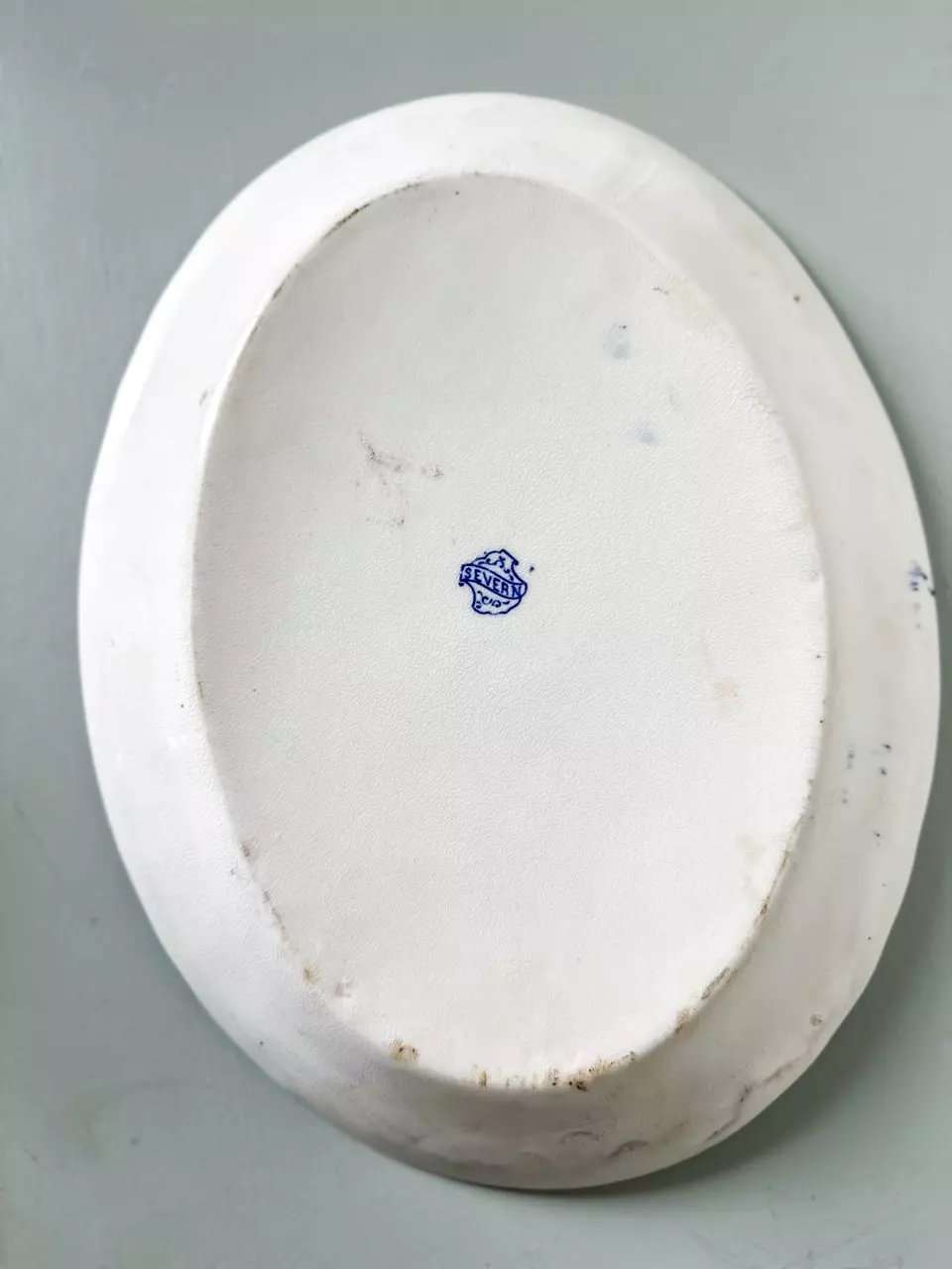 plant/Antique ironstone transferware platter-1