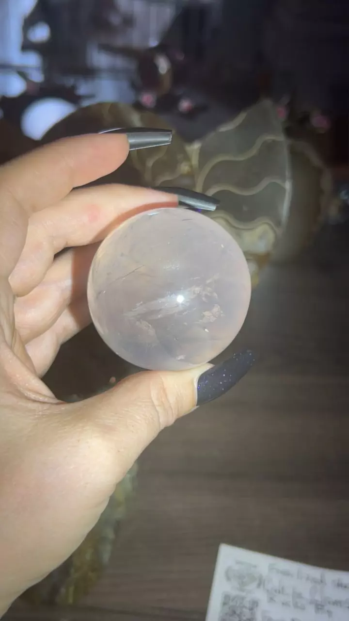 plant/Girasol Star RQ Sphere-0