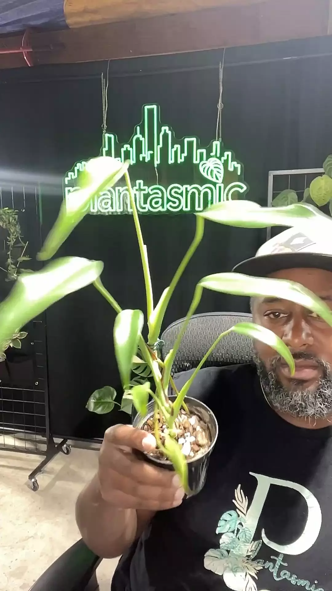 plant/burle Marx flame-0