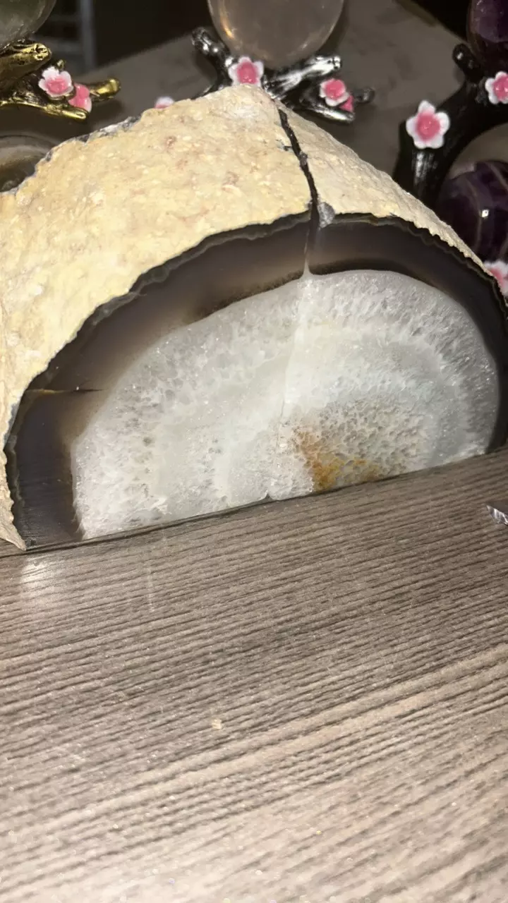 plant/Agate Book Ends-0