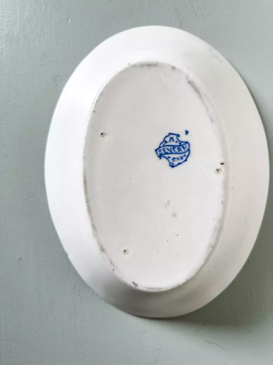 plant/Antique ironstone transferware serving dish-1