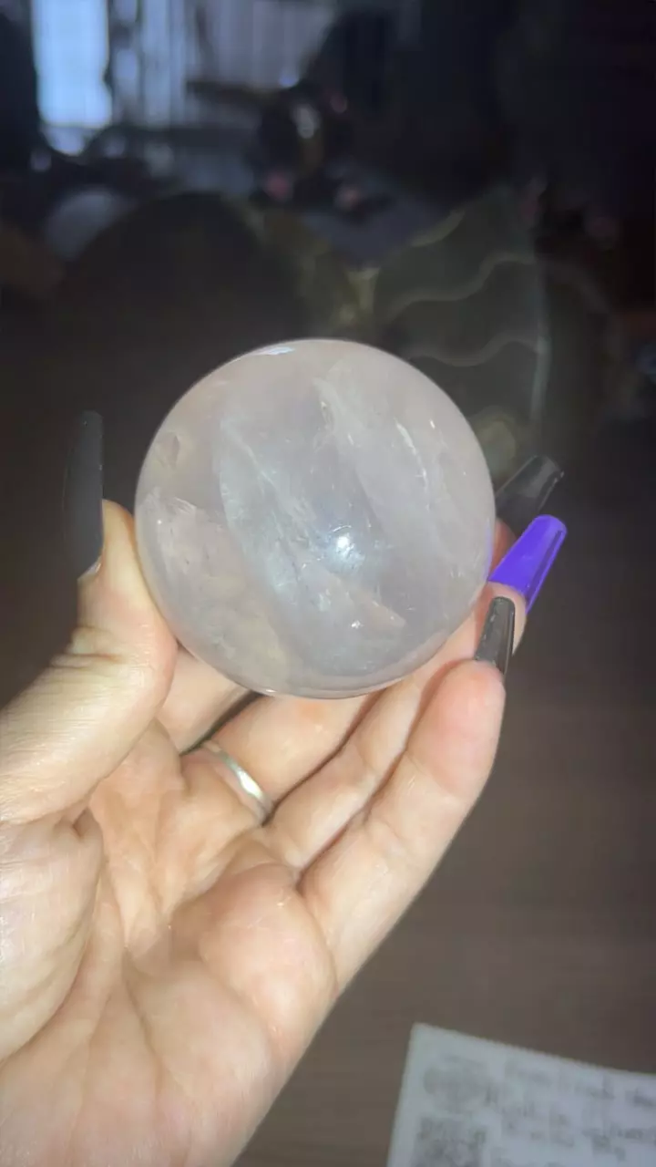 plant/Girasol Star RQ Sphere-0