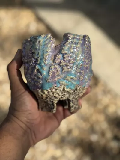 plant/Cotton candy footed 4.5x4.5-0-thumbnail