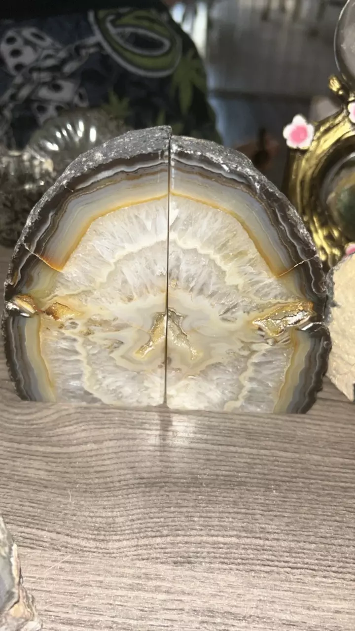 plant/Agate Book Ends-0