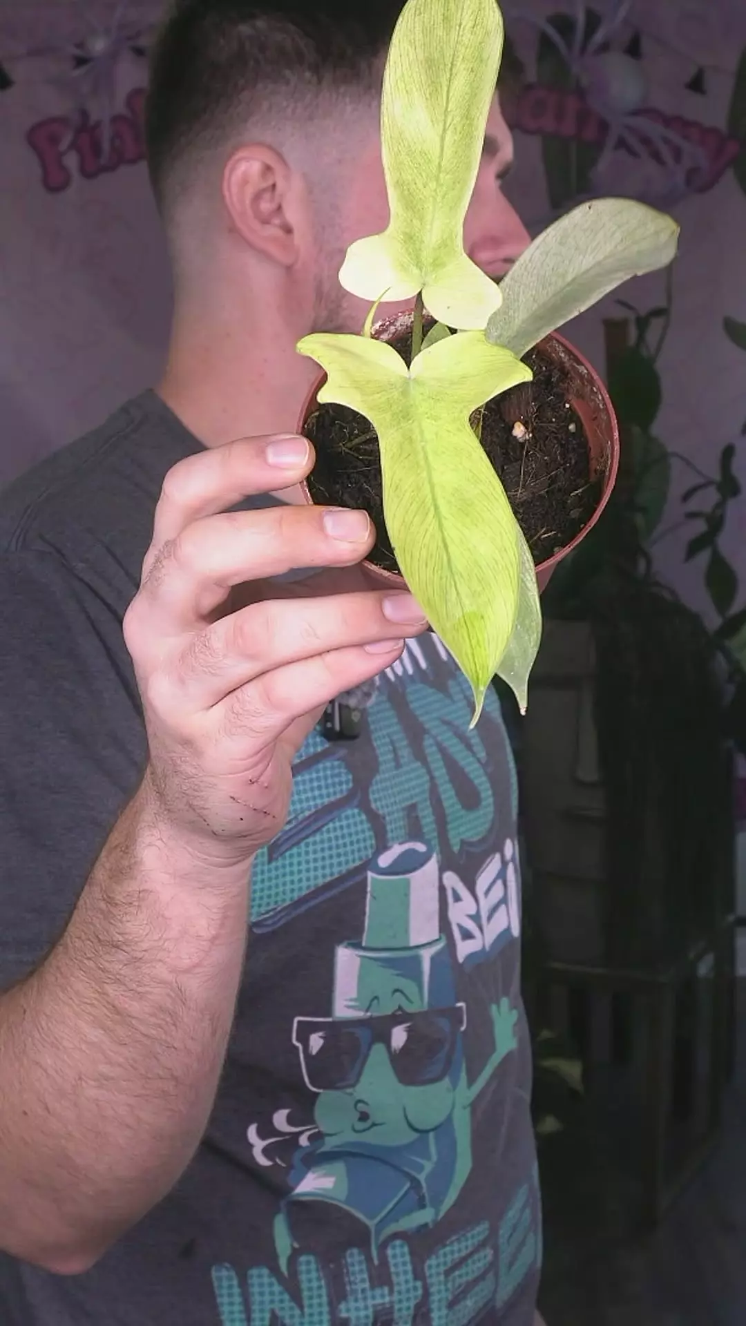 plant/Philo Florida ghost-0