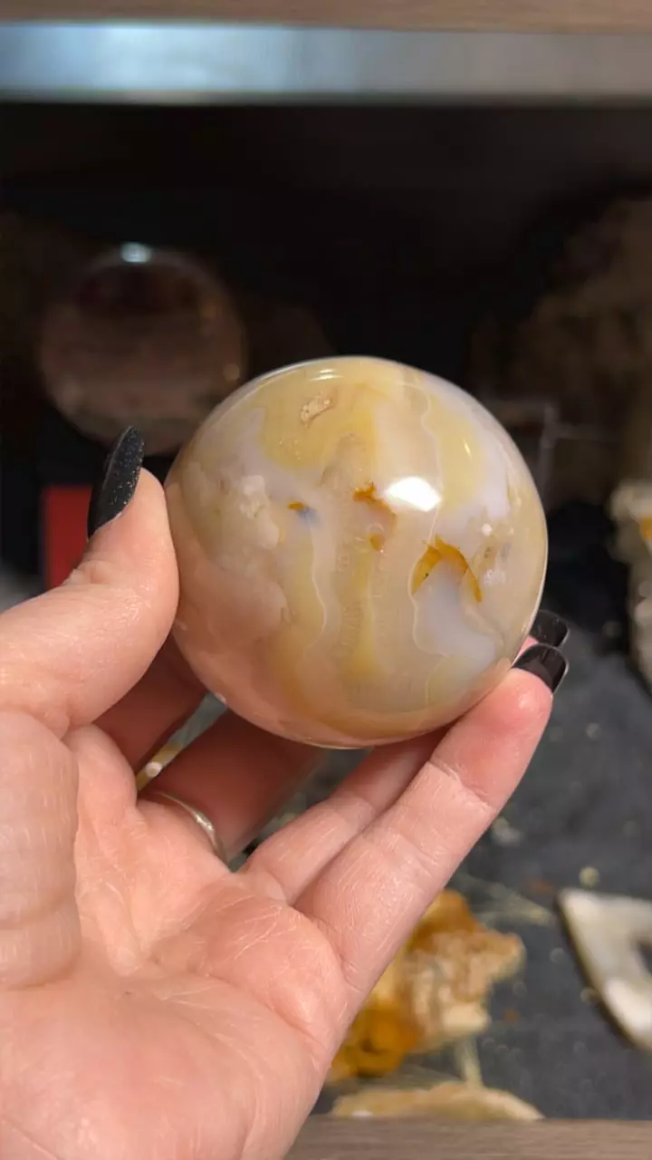 plant/Flower agate-0