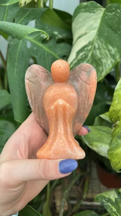 plant/PSS-0051 Jasper Angel-0-thumbnail