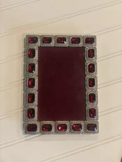 plant/Silver toned frame with red jewels-0-thumbnail