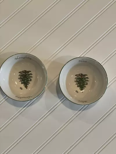 plant/Set of 2 small “Naughty and Nice” Spode Bowls-0-thumbnail