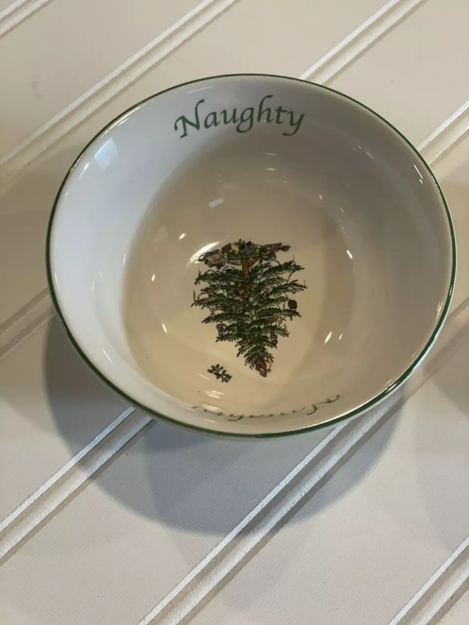 plant/Set of 2 small “Naughty and Nice” Spode Bowls-1