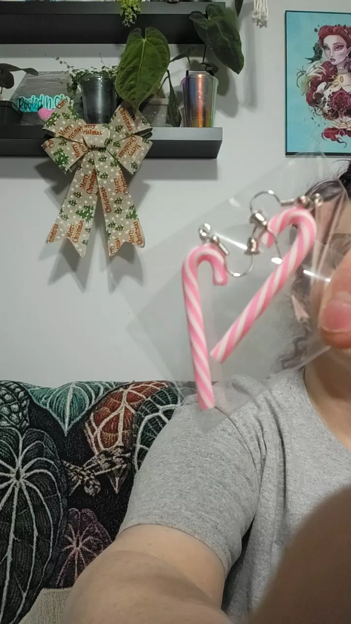 plant/PINK AND WHITE CANDY CANES-0