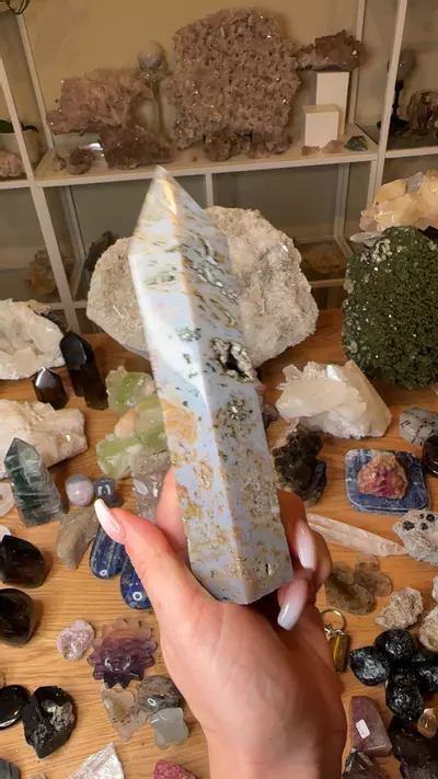 plant/Oj 70-0-thumbnail