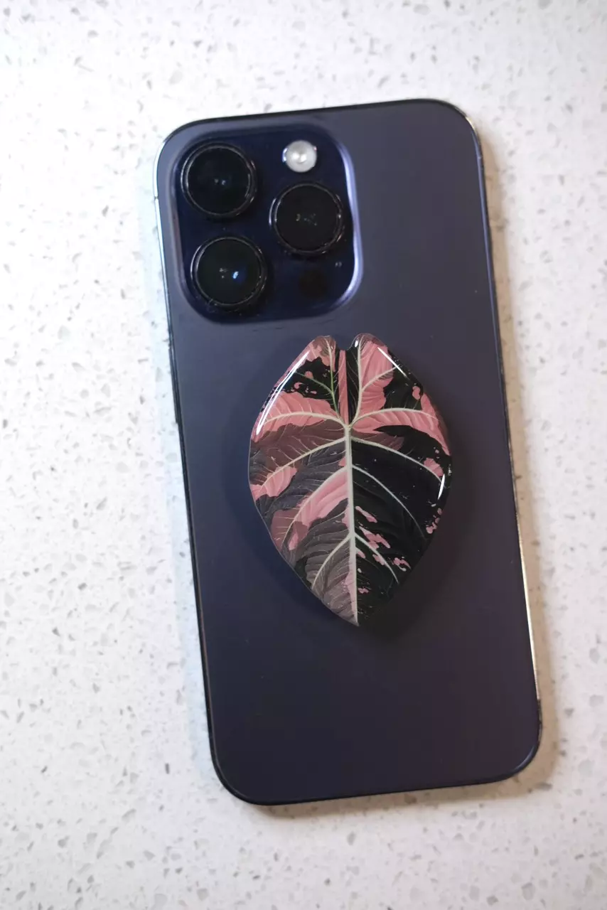 plant/Phone grip stand - Alocasia black velvet pink var-0
