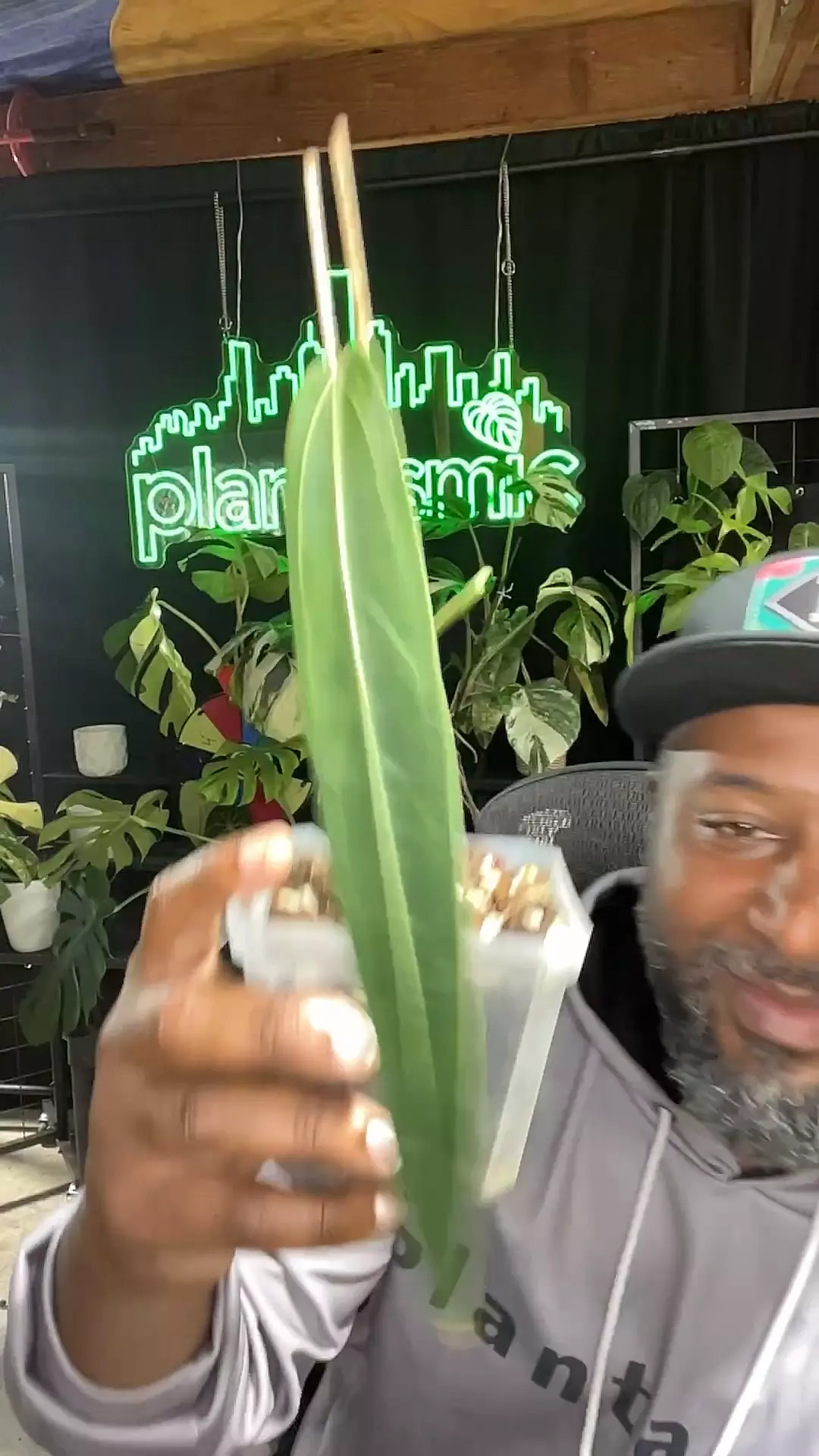 plant/1586 waroc narrow-0