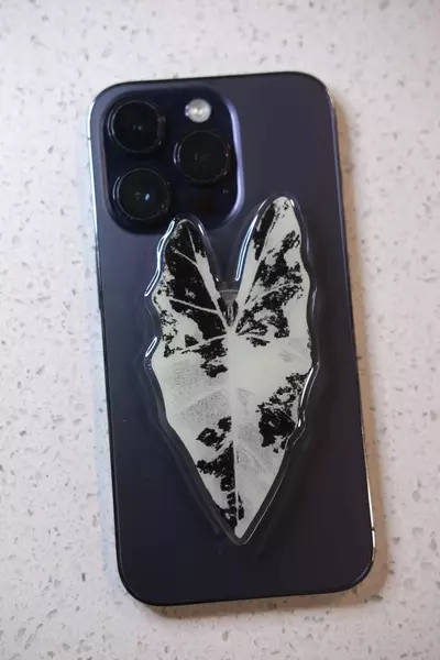 plant/Phone grip stand - Alocasia frydek var.-0-thumbnail