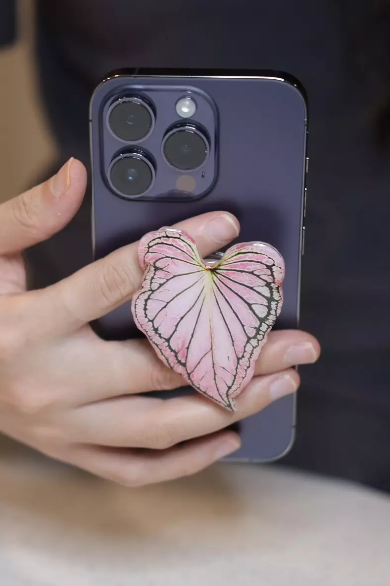 plant/Phone grip stand - Caladium Pink Symphony-0