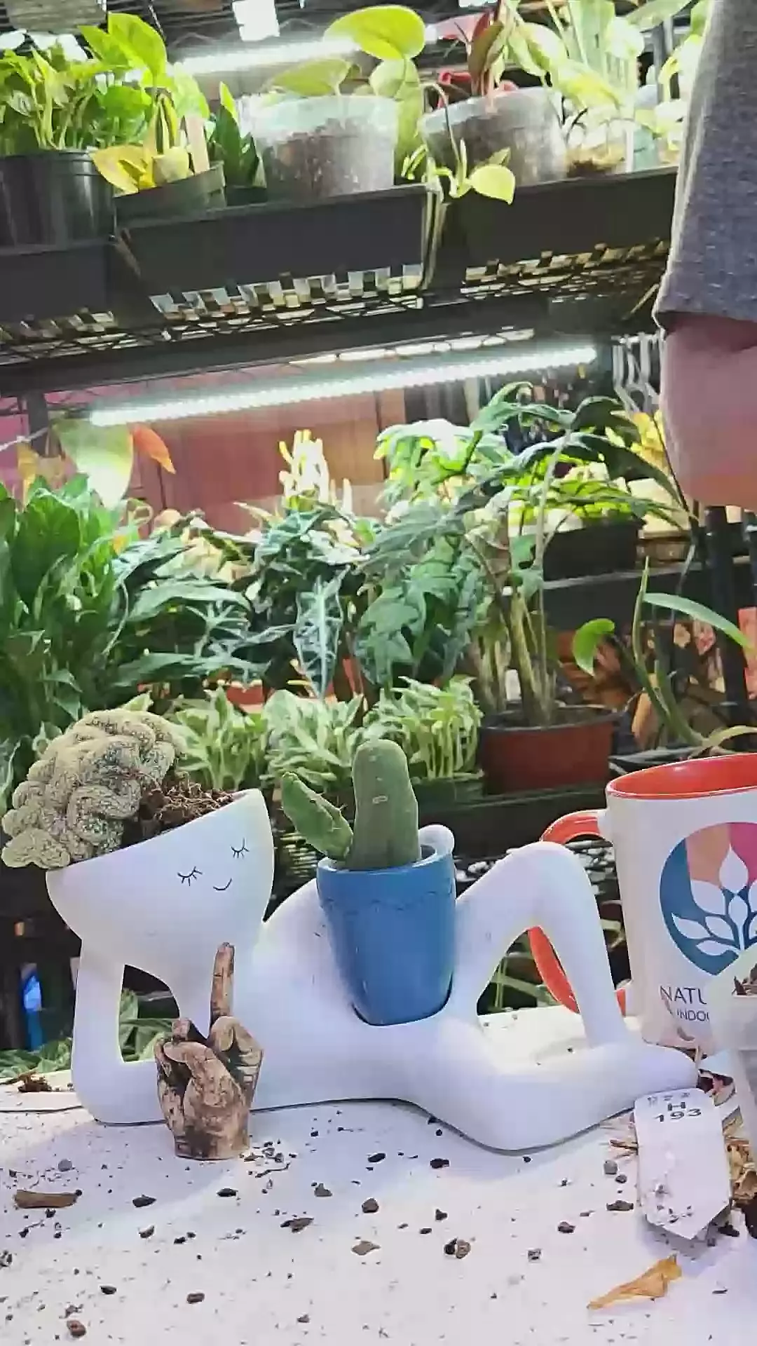 plant/Hold my Order-0