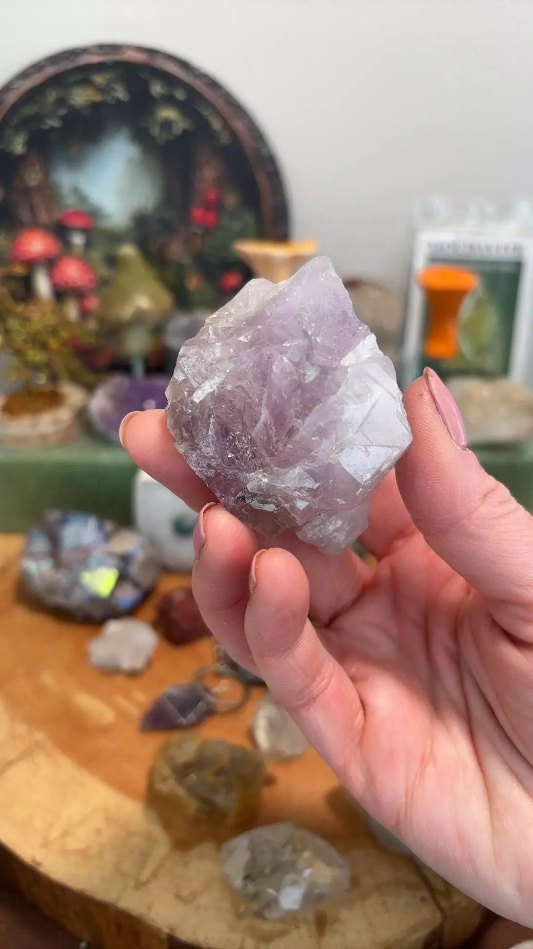 plant/Amethyst Purple Heart Mine, SC-0