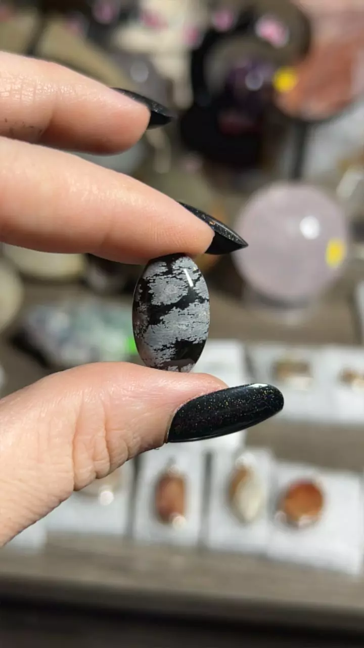 plant/Snowflake Obsidian Cab-0