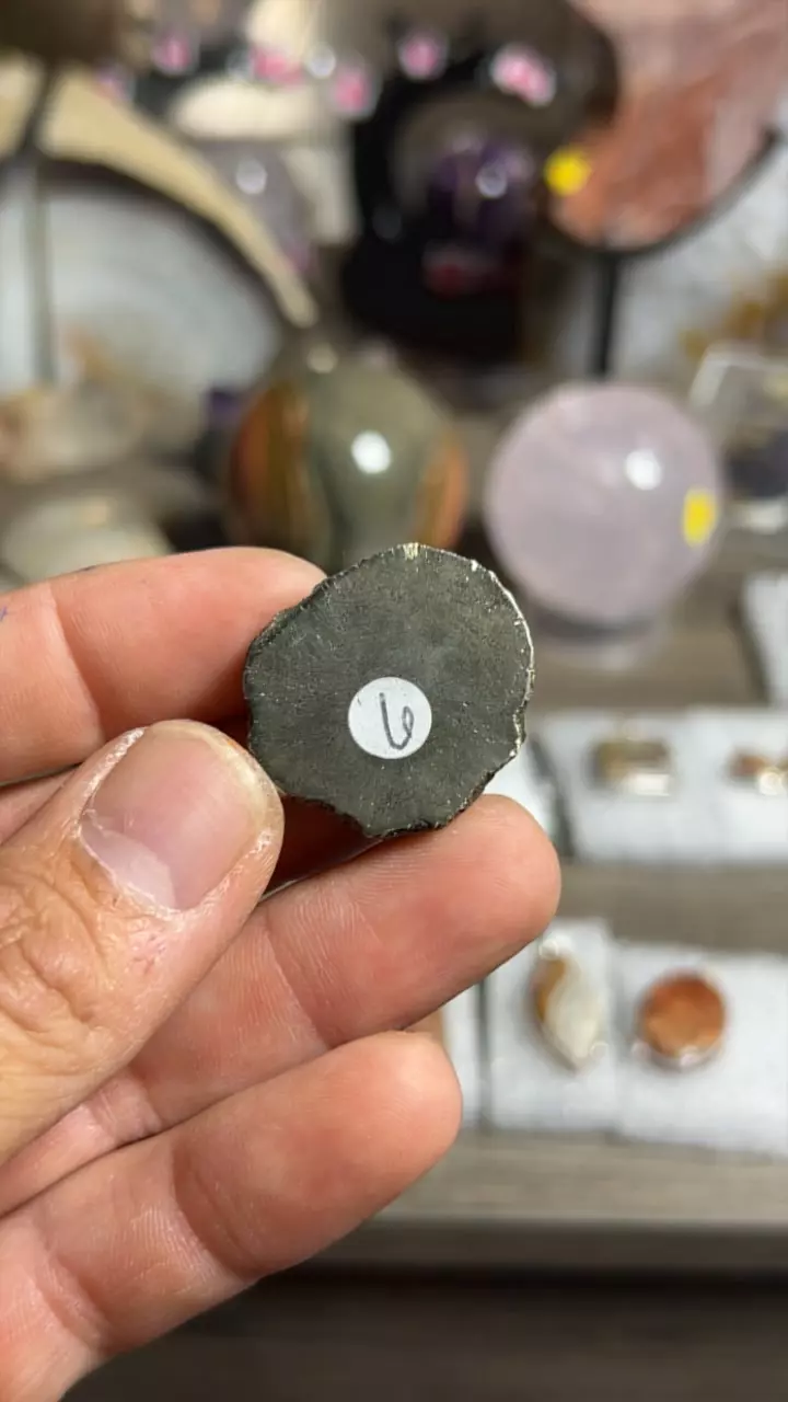 plant/Pyrite Slice-0