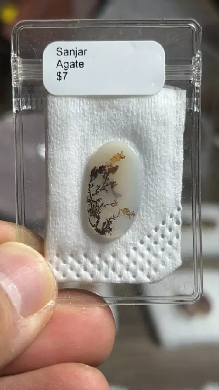 plant/Sanjar Agate Cab-0