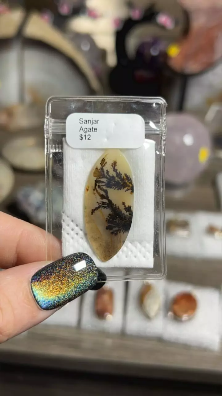 plant/Sanjar Agate Cab-0