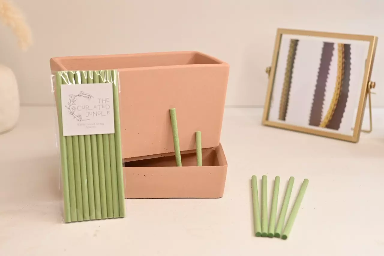 plant/ADD ON ONLY Single Wick Stick for Self-Watering-0