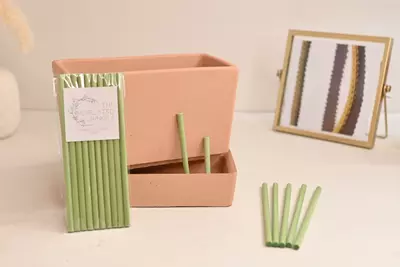 plant/ADD ON ONLY Single Wick Stick for Self-Watering-0-thumbnail