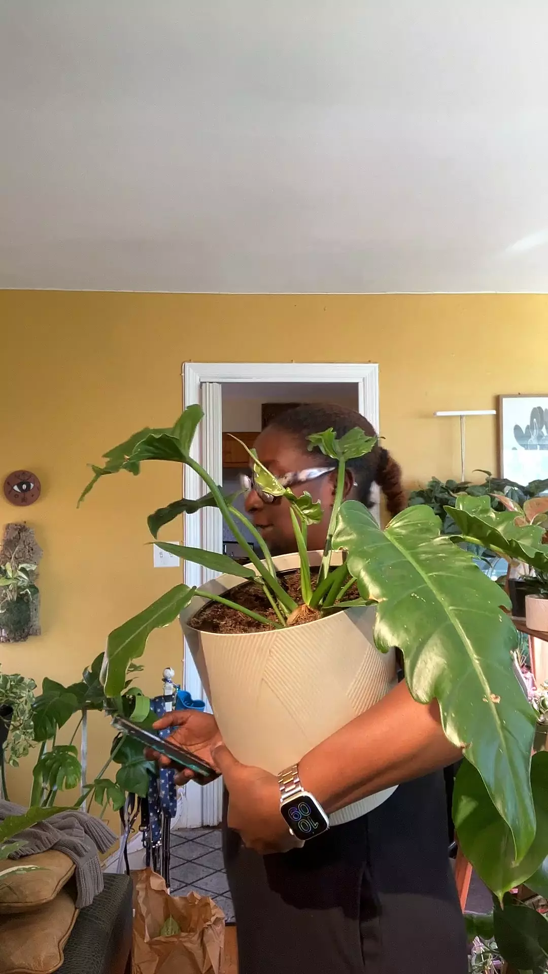 plant/Jungle Boggie-0