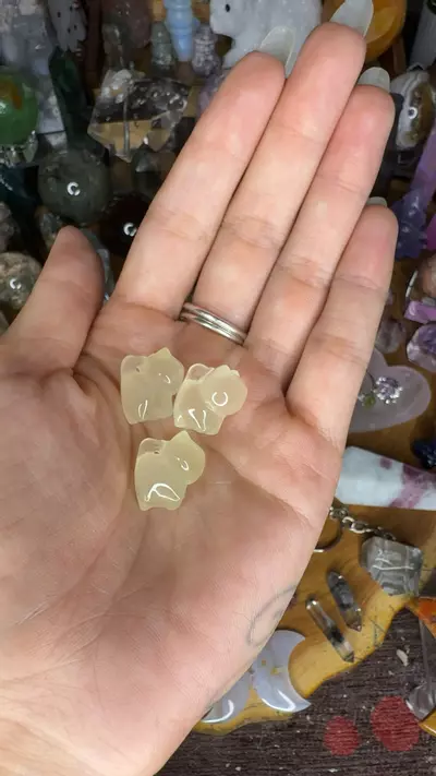 plant/Citrine mini cat 8-0-thumbnail