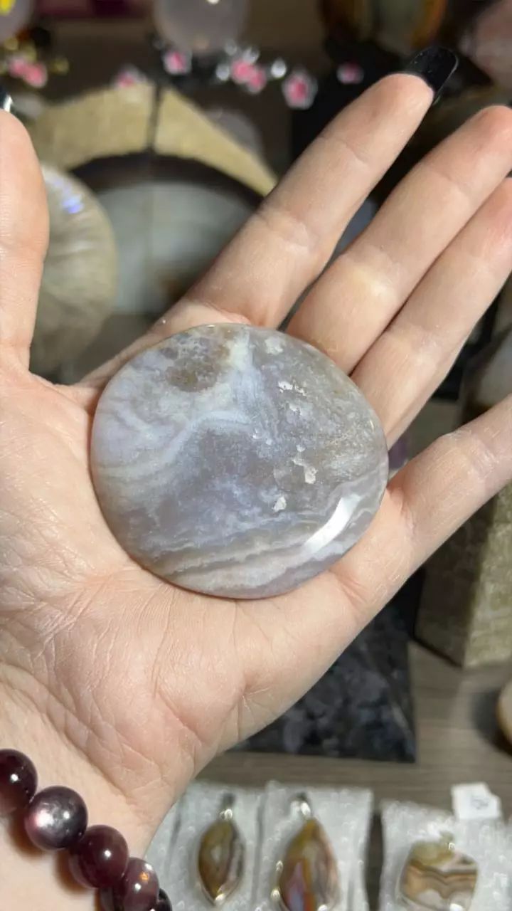 plant/Violet agate-0