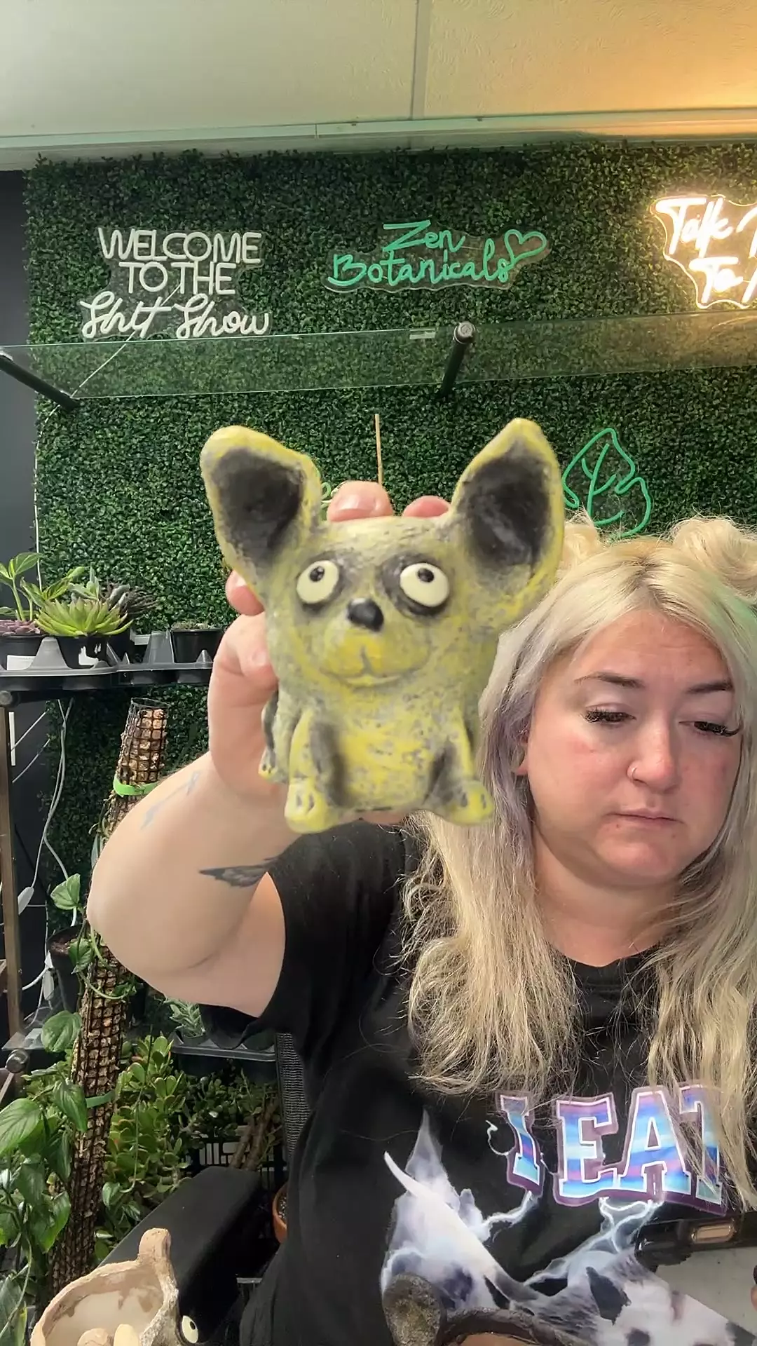 plant/Chico chihuahua-0