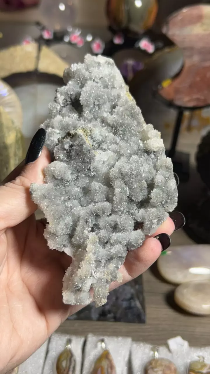 plant/Quartz pyrite-0