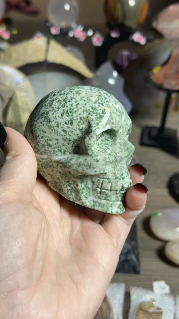 plant/Skull of Unknown Material-0