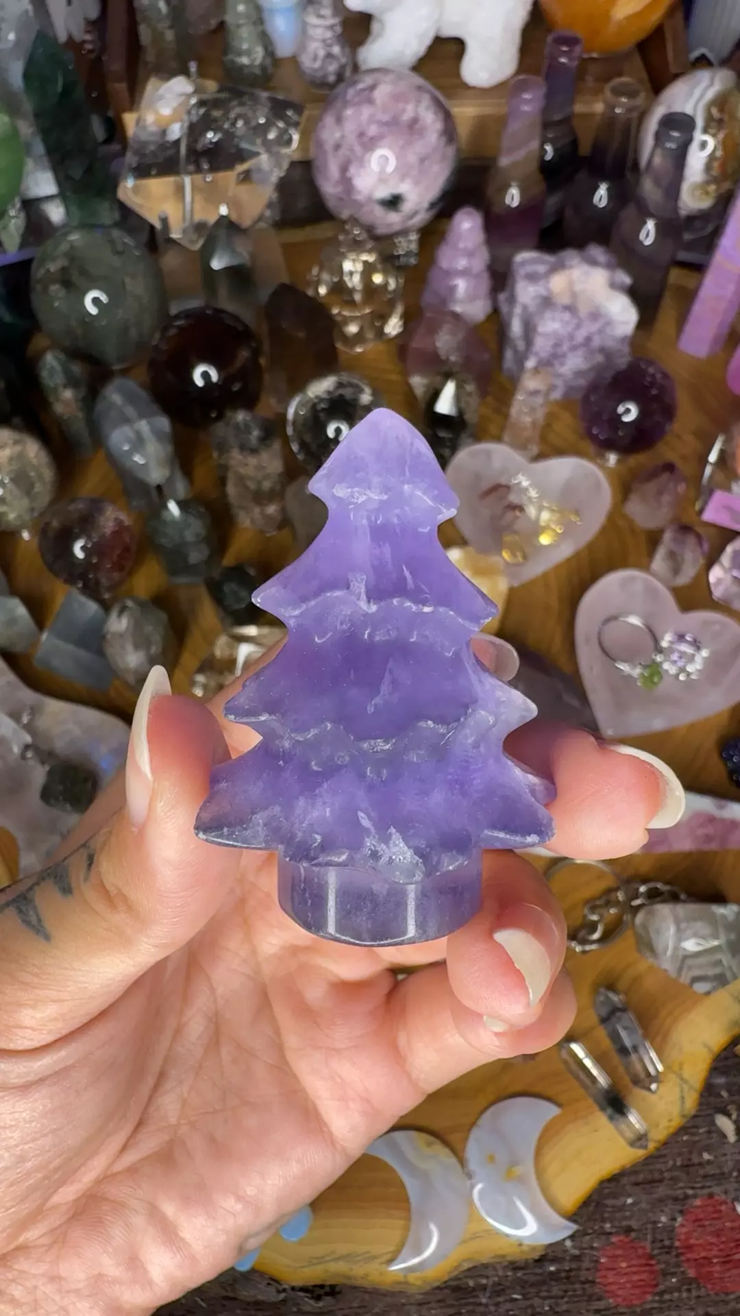 plant/Purple flourite tree 30-0