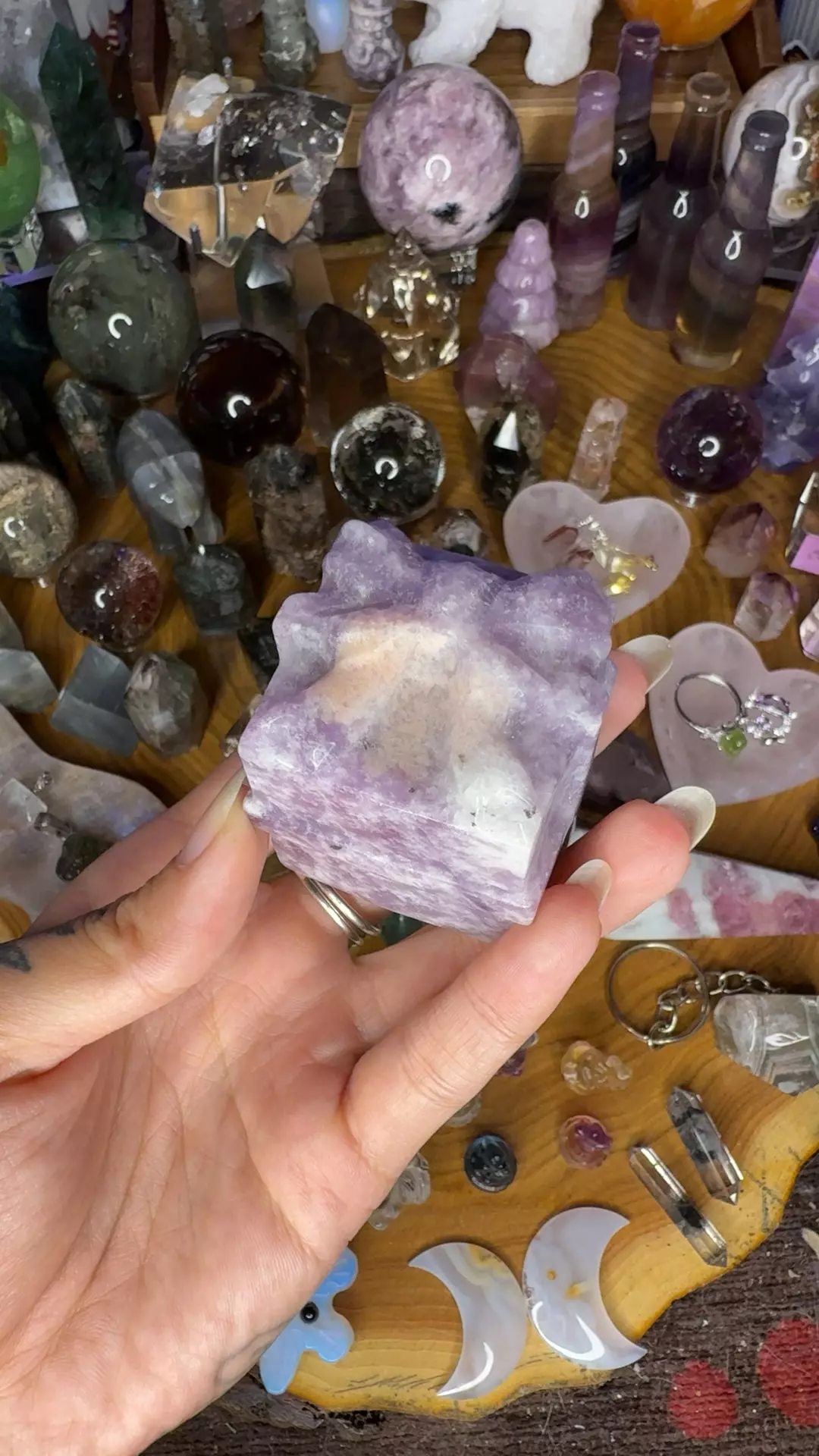 plant/Lepidolite present 40p-0