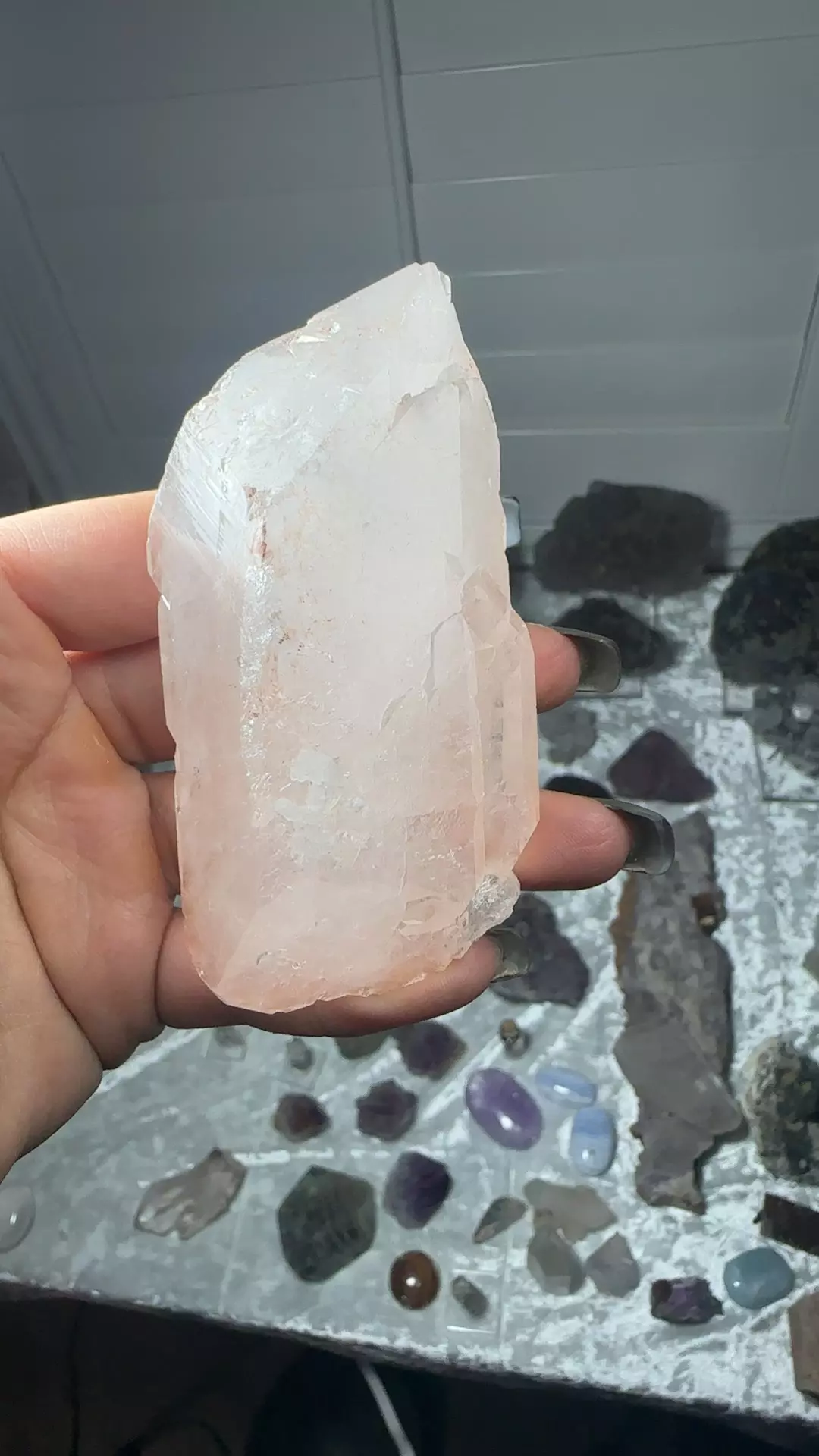 plant/Self healed Himalayan Quartz 190-0