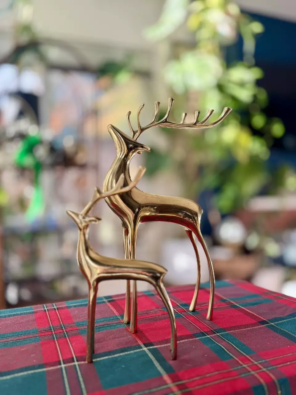 plant/Pair of brass deer-0