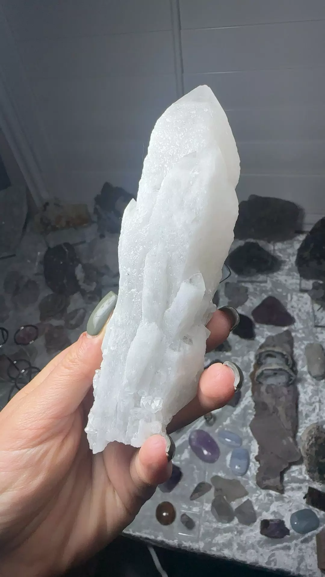 plant/Inner Mongolian Quartz 95-0