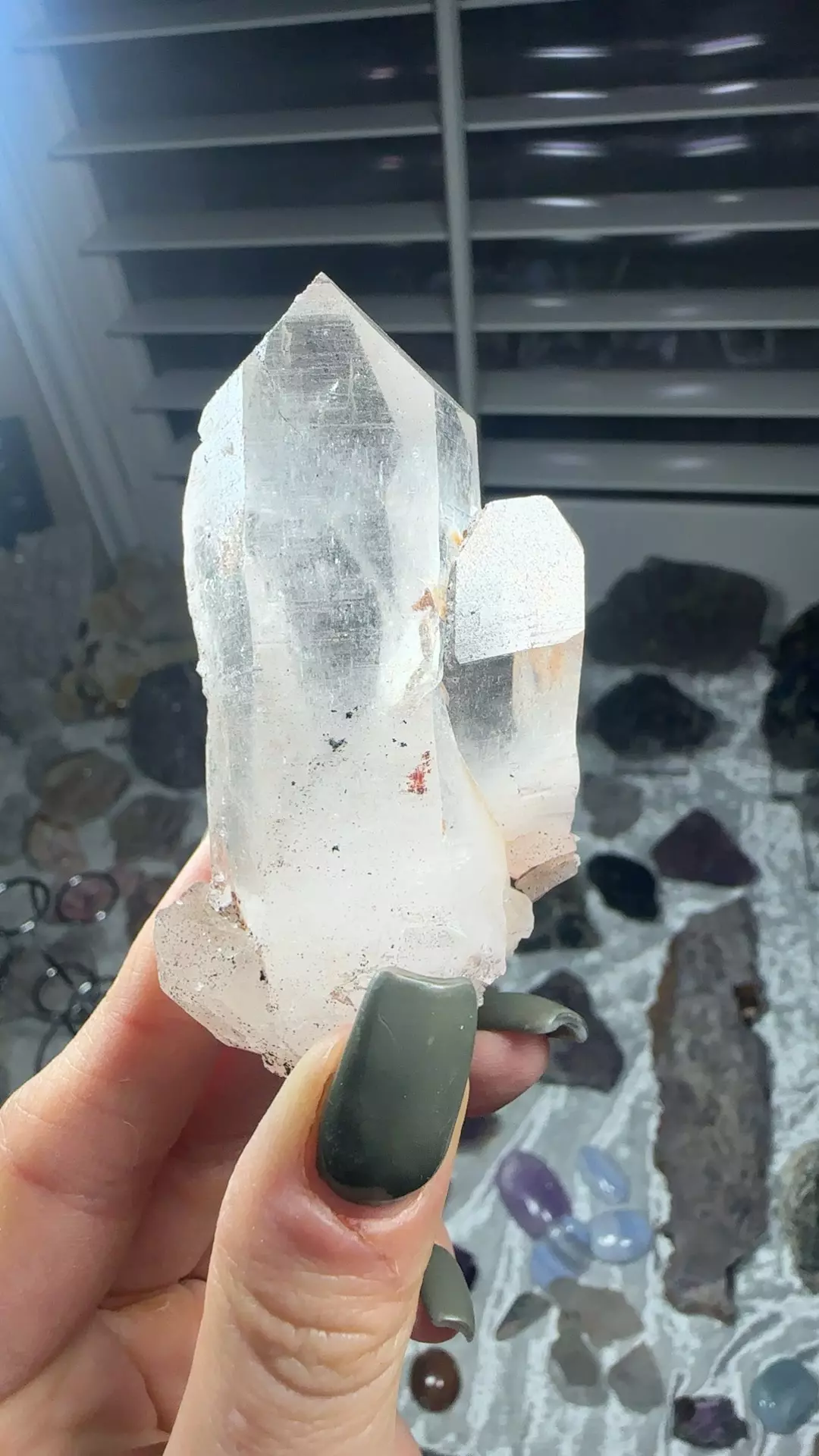 plant/Himalayan Quartz 94-0