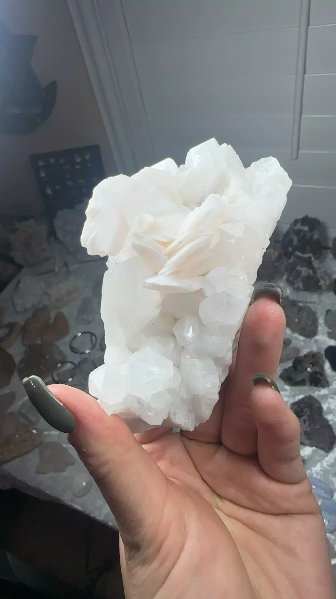 plant/Ygx petal calcite 140-0