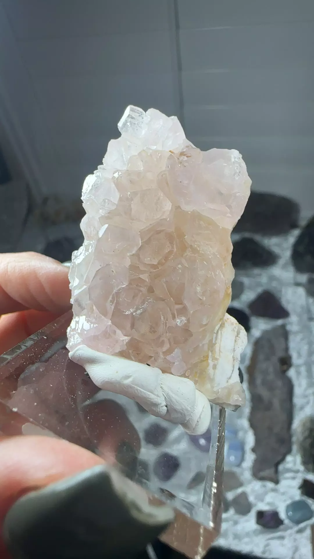 plant/Crystallized rose Quartz90-0