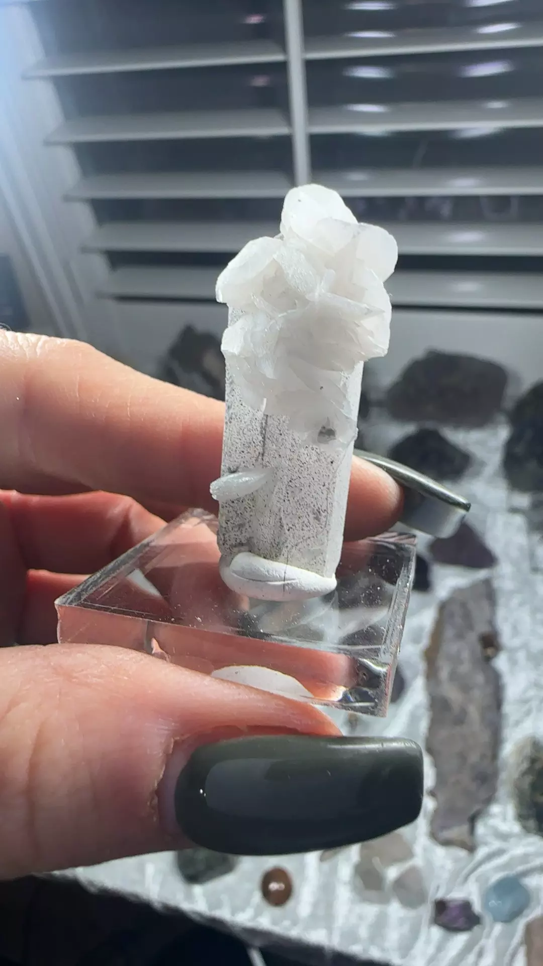 plant/Petal calcite 30-0