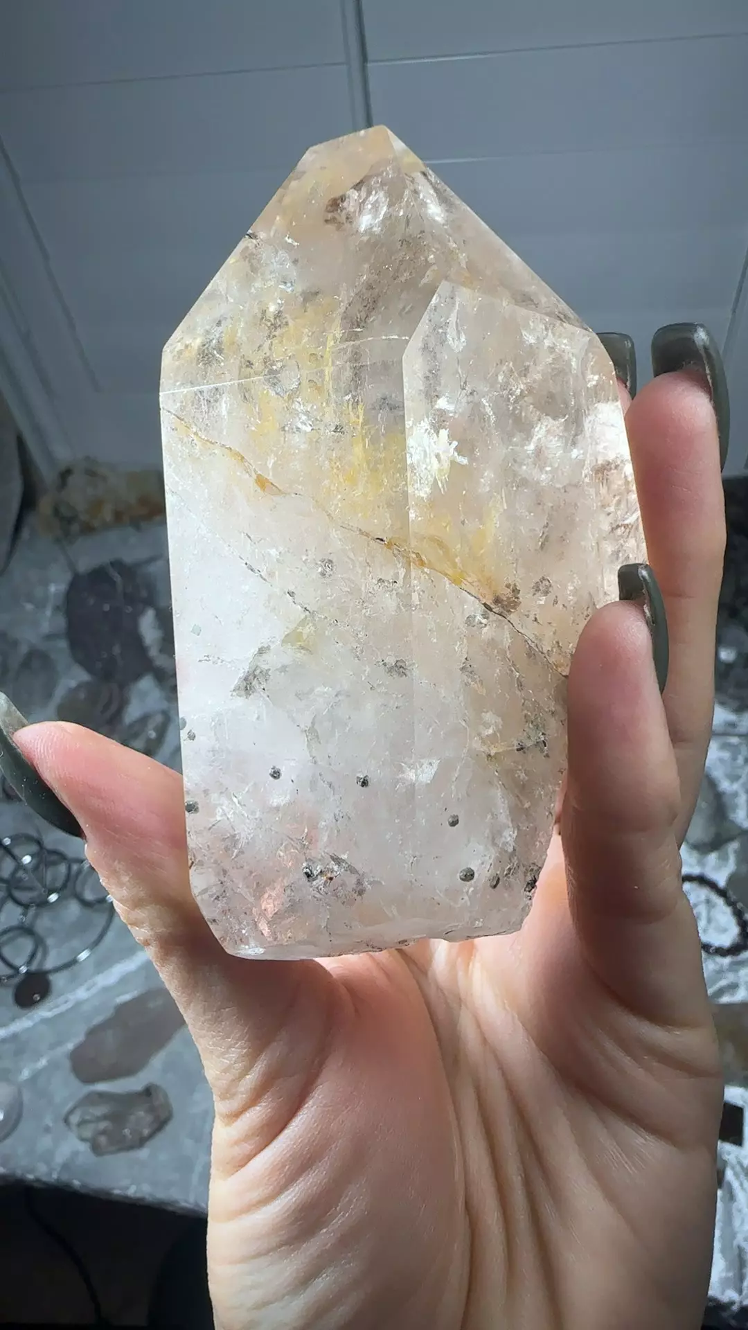 plant/Pyrite Quartz 140-0