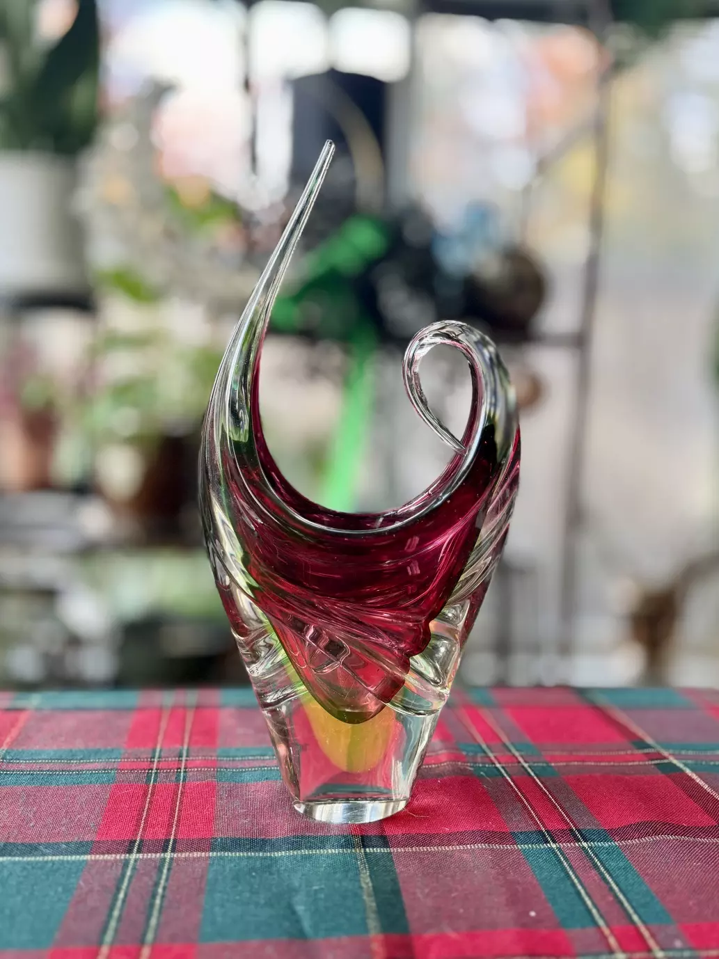 plant/Murano-style glass vase-0