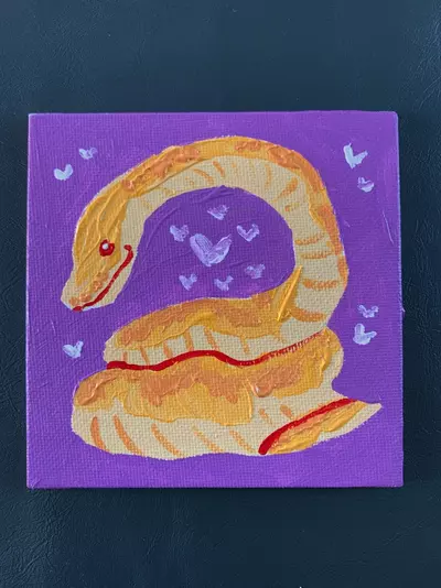 plant/Lavender Ball Python-0-thumbnail